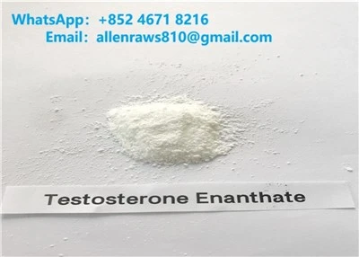 Testosterone Enanthate Trab tal-isterojdi mhux maħduma