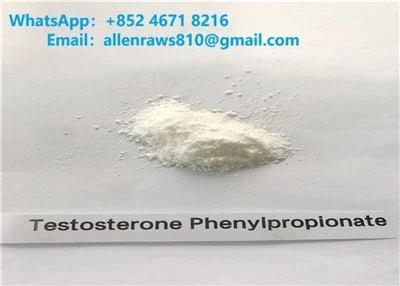 Testosterone Phenylpropionate Powders Sterojdi